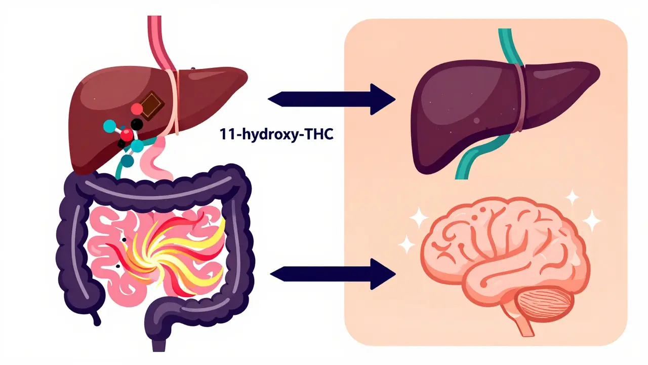 Ilustrace metabolismu THC v játrech versus inhalace